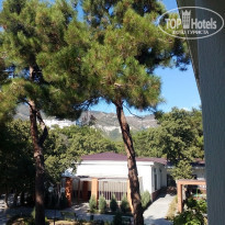 фото из отзыва ID 2143055