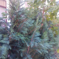 фото из отзыва ID 2143055