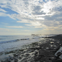 фото из отзыва ID 215250