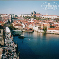 фото из отзыва ID 215756