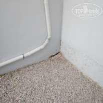 фото из отзыва ID 2150390