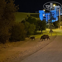 фото из отзыва ID 2150452