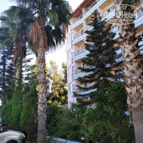 фото из отзыва ID 2150705