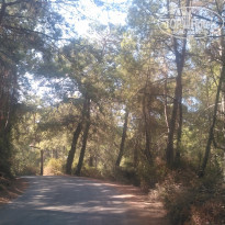 фото из отзыва ID 2150591