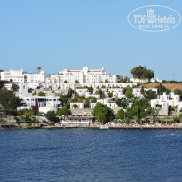 фото из отзыва ID 2150853