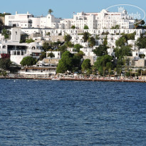 фото из отзыва ID 2150853