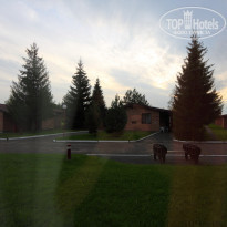 фото из отзыва ID 2150902