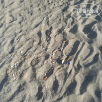 фото из отзыва ID 2150961