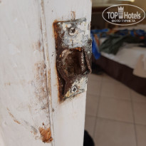 фото из отзыва ID 2151132