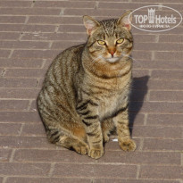 фото из отзыва ID 2151129