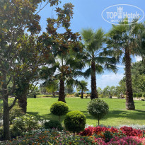 фото из отзыва ID 2151233