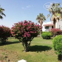 фото из отзыва ID 2151272