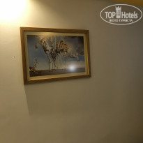 фото из отзыва ID 2151333