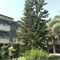 фото из отзыва ID 2151333