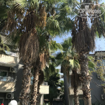 фото из отзыва ID 2151333