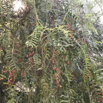 фото из отзыва ID 2151333