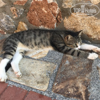 фото из отзыва ID 2151333