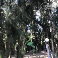 фото из отзыва ID 2151333