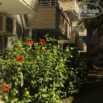 фото из отзыва ID 2151333