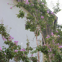 фото из отзыва ID 2151333