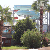 фото из отзыва ID 2151333