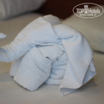 фото из отзыва ID 2151333