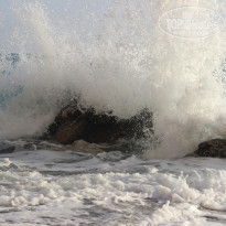 фото из отзыва ID 2151333