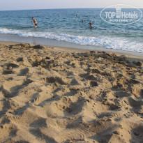 фото из отзыва ID 2151333