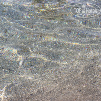 фото из отзыва ID 2151333