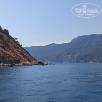 фото из отзыва ID 2151394