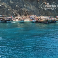 фото из отзыва ID 2151394