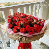 фото из отзыва ID 2151242
