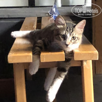 фото из отзыва ID 2151423