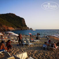 фото из отзыва ID 2151454