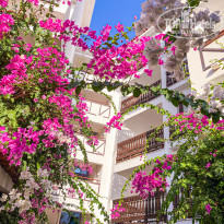 фото из отзыва ID 2151528