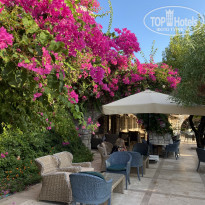 фото из отзыва ID 2151528