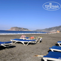 фото из отзыва ID 2151576