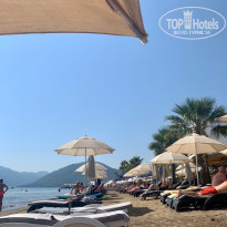 фото из отзыва ID 2151588