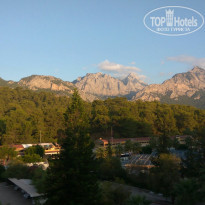 фото из отзыва ID 2151640