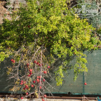 фото из отзыва ID 2151713