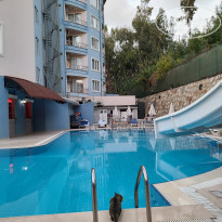 фото из отзыва ID 2151713