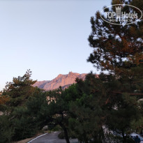 фото из отзыва ID 2151966