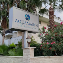 фото из отзыва ID 2152040