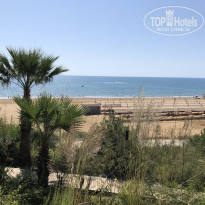 фото из отзыва ID 2152266