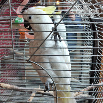 фото из отзыва ID 2152258