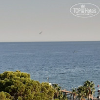 фото из отзыва ID 2152313