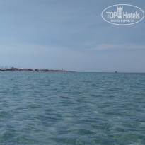 фото из отзыва ID 2151994