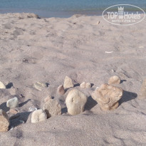 фото из отзыва ID 2151994