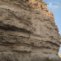 фото из отзыва ID 2151994