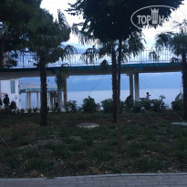 фото из отзыва ID 2152335